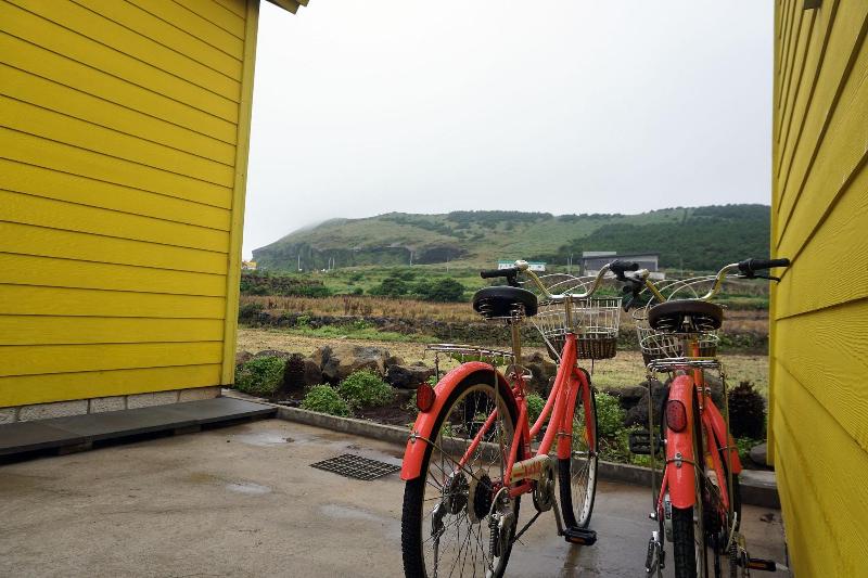Udo Sunflower Pension And Guesthouse image