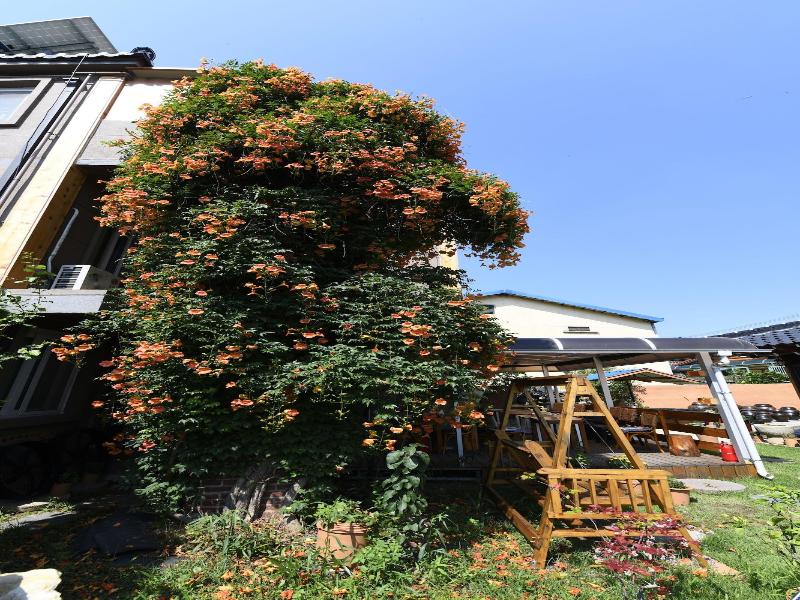DASOMCHAE - Hostel image