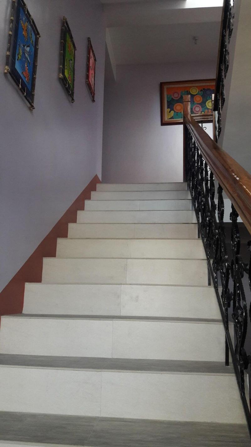 Mayon Lodging House image