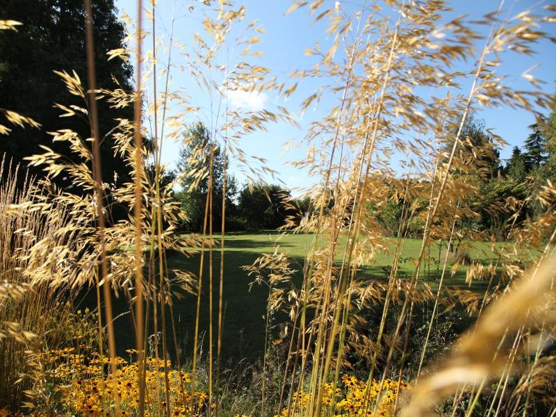 Ivy House Country Hotel image
