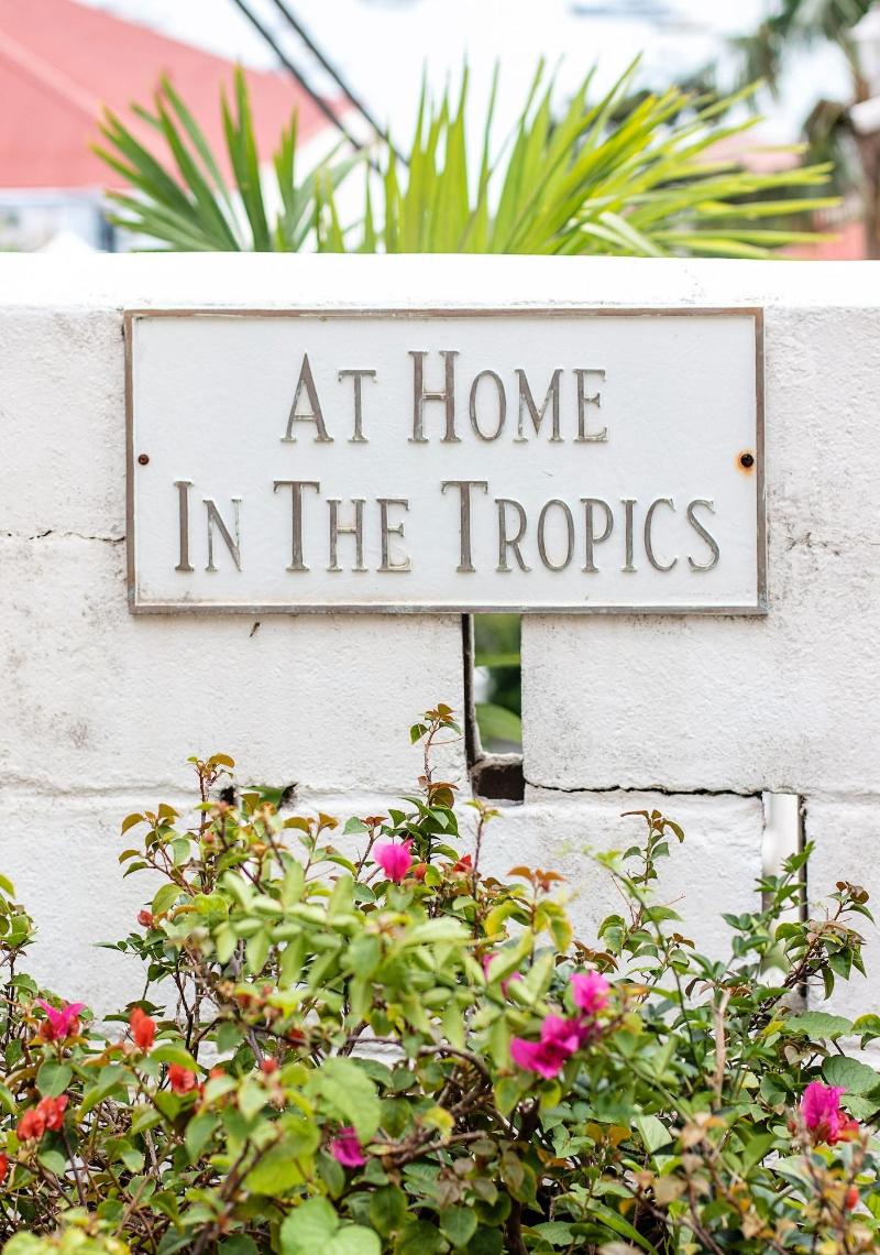 At Home in the Tropics B&B image