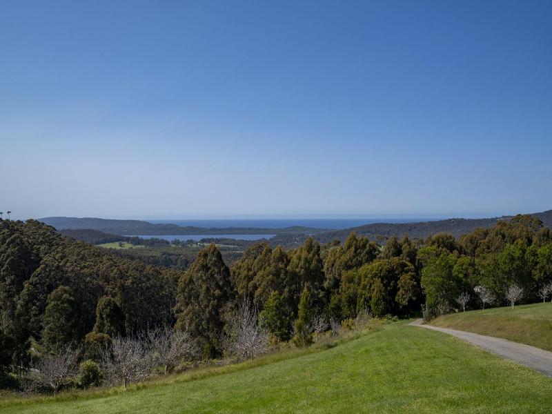 Karri Aura