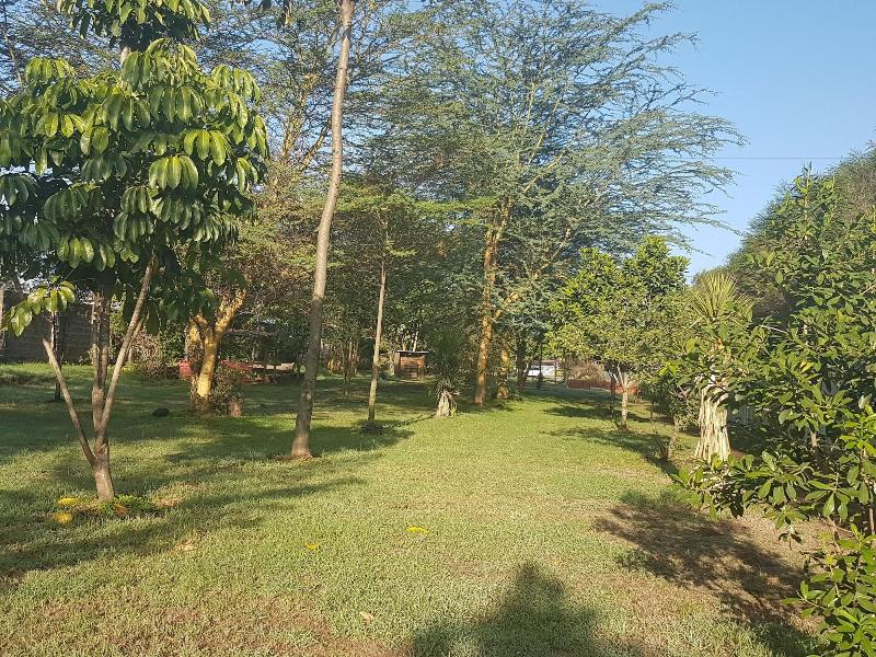 Kivu Resort - Hostel image