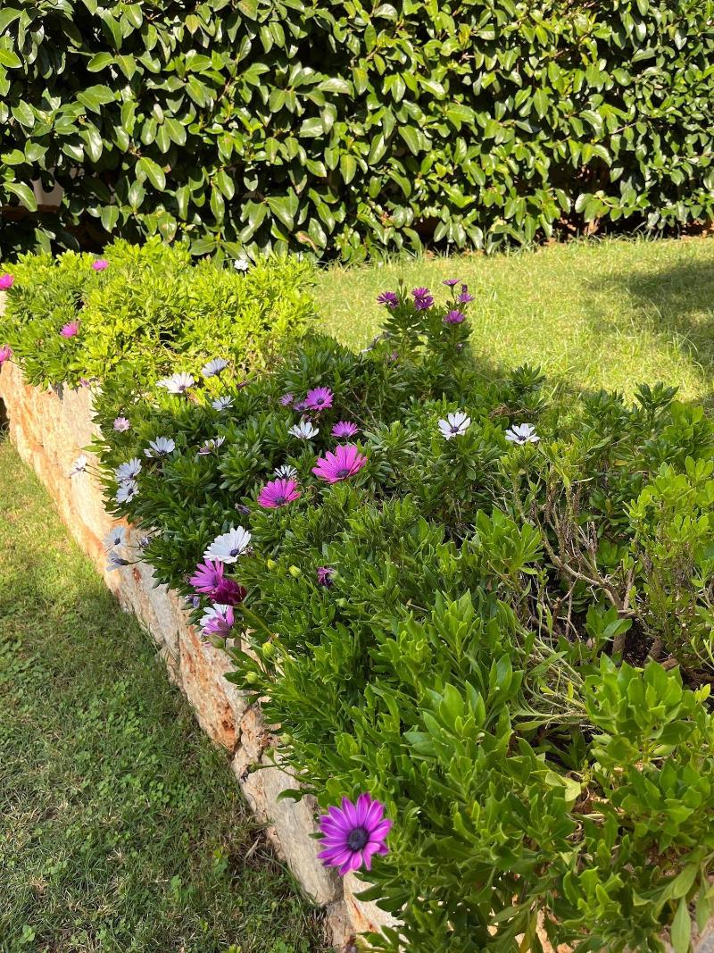 Carruba Boutique Hotel image