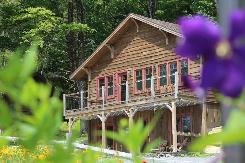 Seesaw's Lodge image