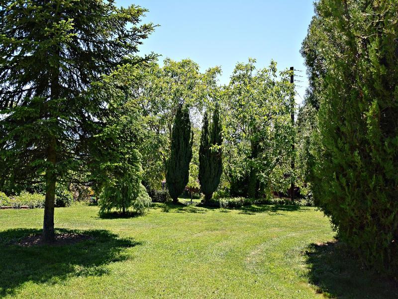 Guesthouse Vissinokipos