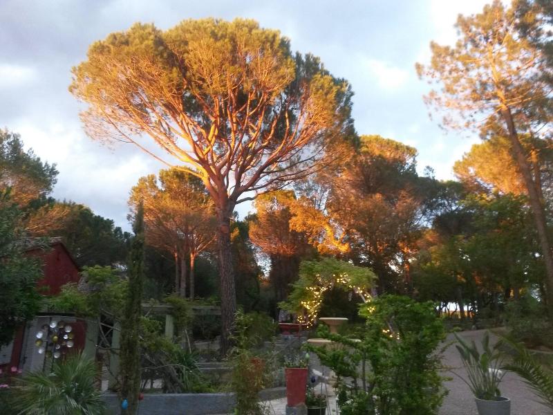 Les Mayombes image