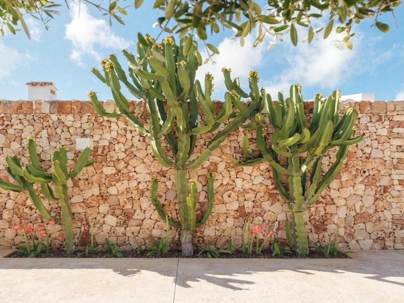 Agroturismo Ses Talaies image