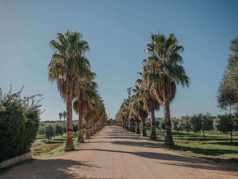 Agroturismo Ses Talaies image