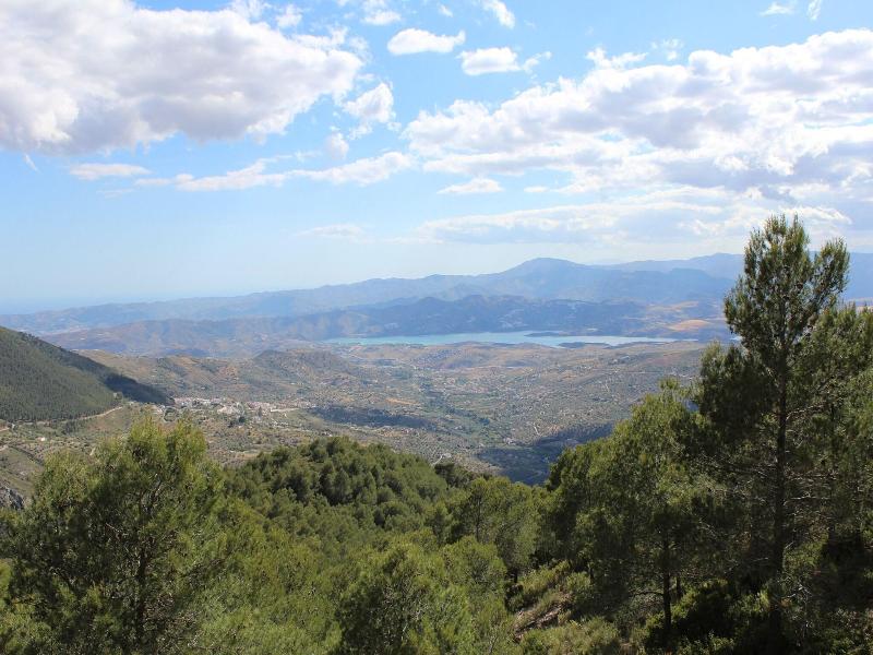 El Níspero Dulce image