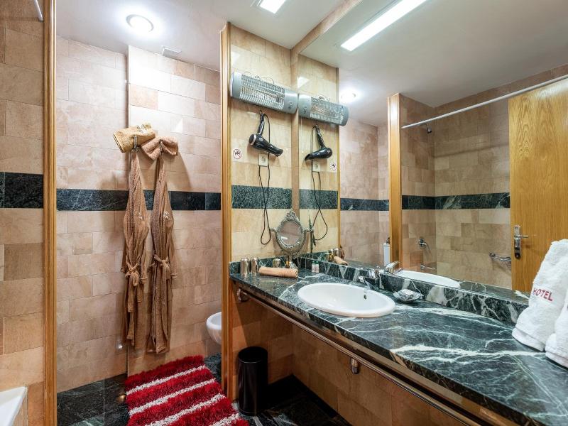 Hotel Kerala image