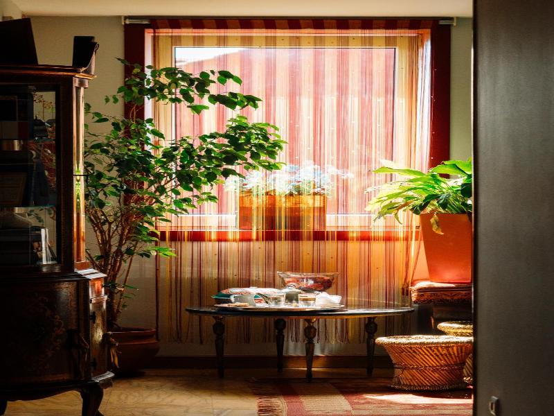 Hotel Kerala image