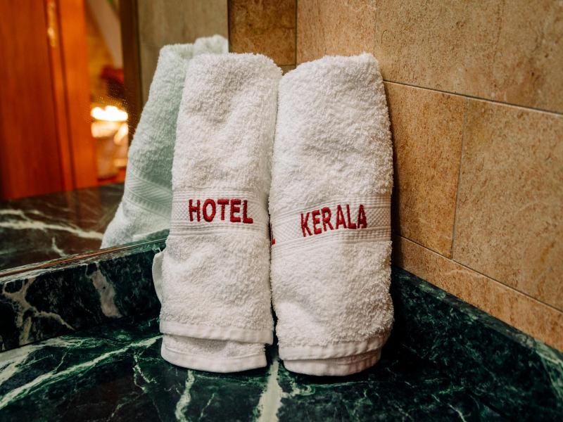 Hotel Kerala image