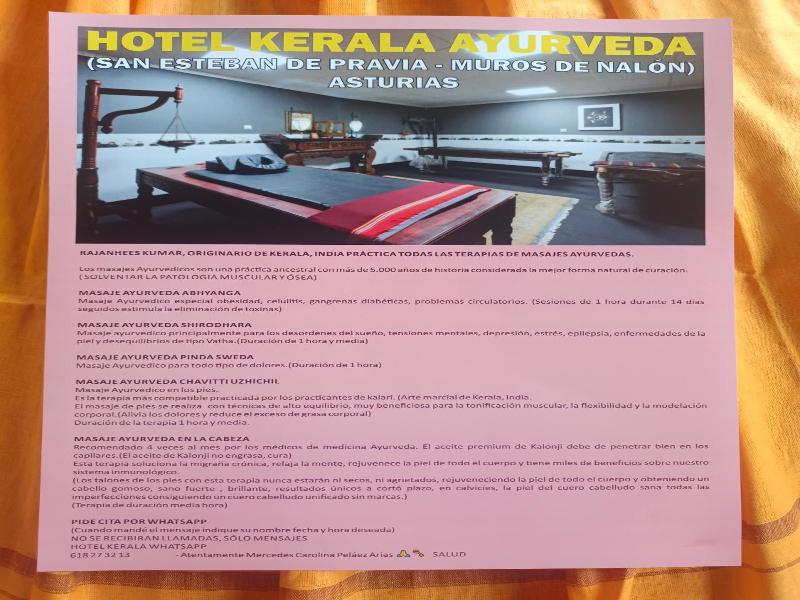 Hotel Kerala image
