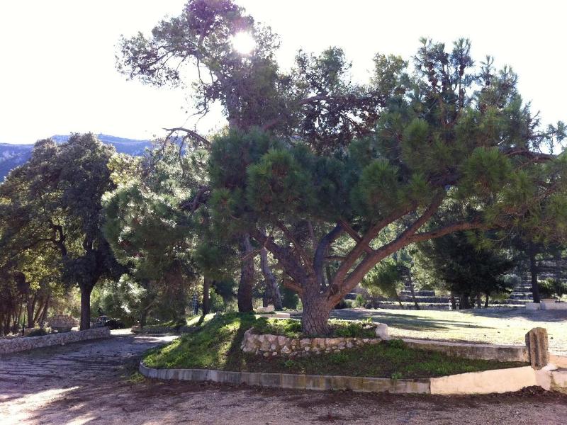 Masia La Safranera image