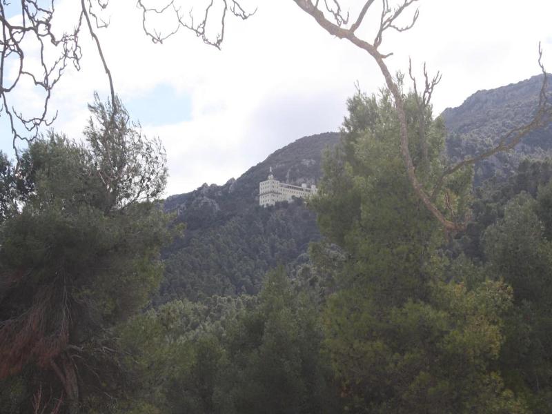 Masia La Safranera image