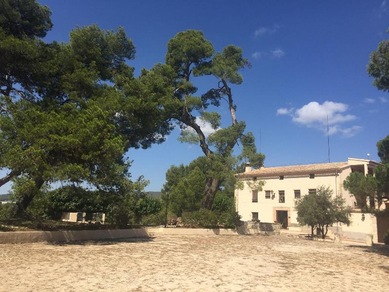 Masia La Safranera image