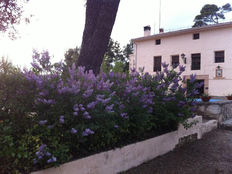 Masia La Safranera image
