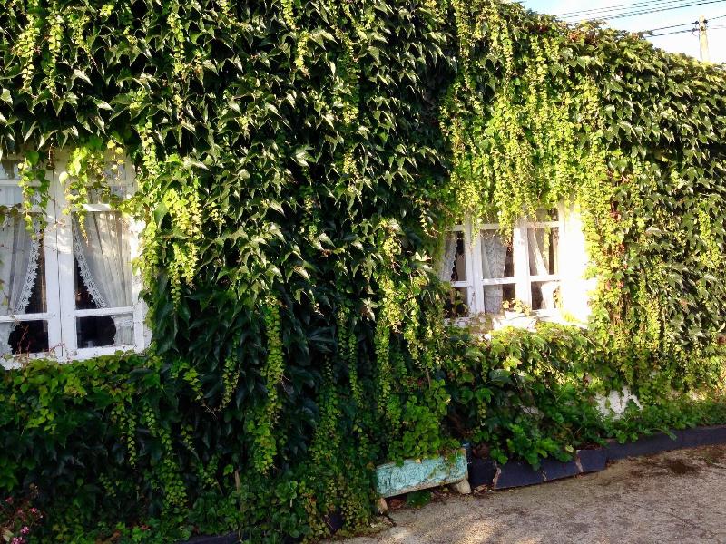 Casa Lourido image