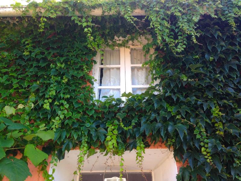 Casa Lourido image