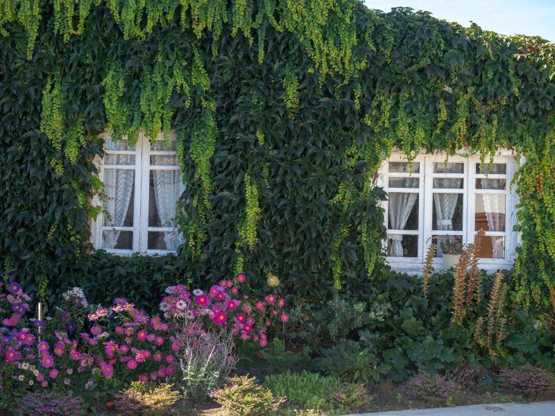 Casa Lourido image