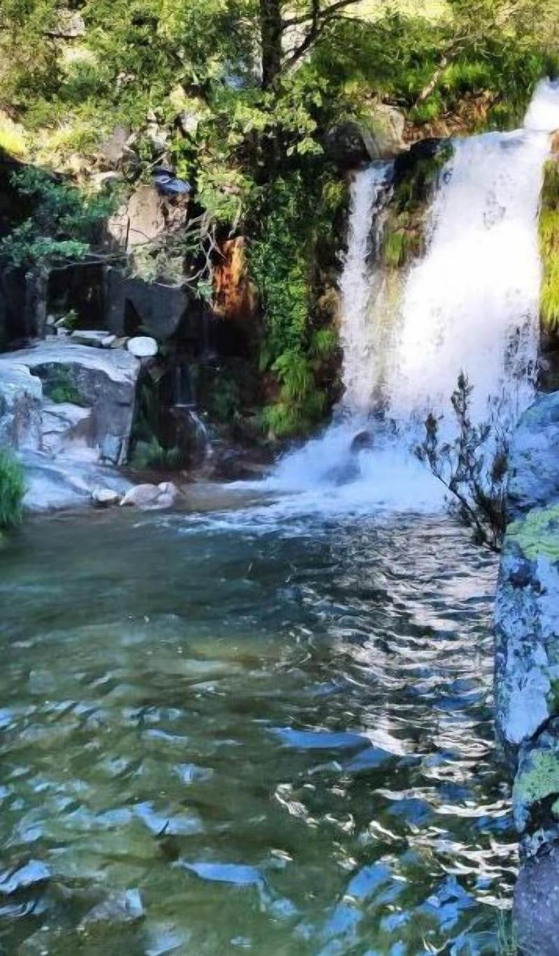 Aguas Del Venero image