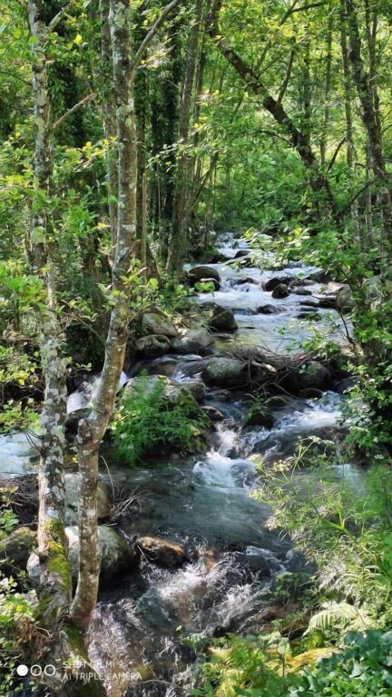 Aguas Del Venero image