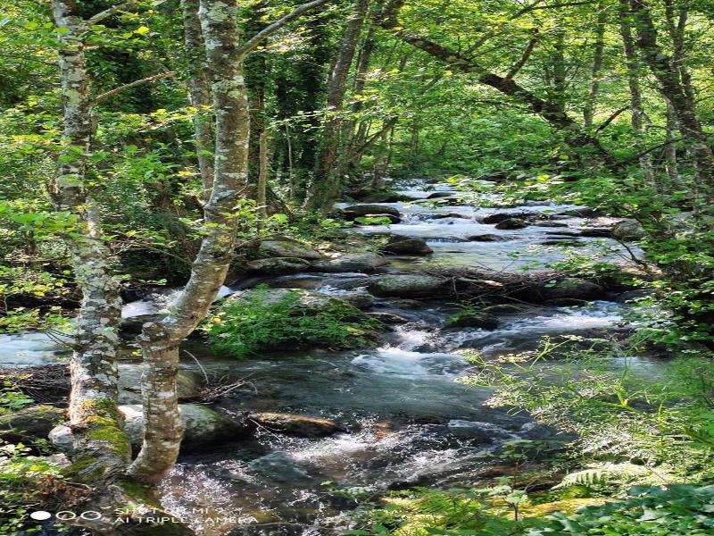 Aguas Del Venero image