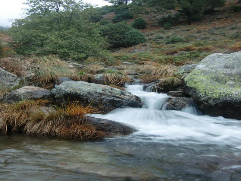 Aguas Del Venero image