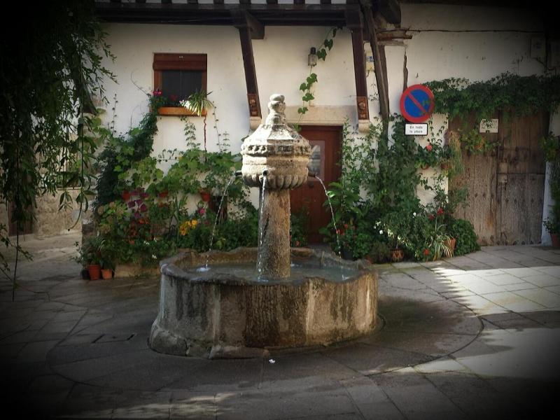 Aguas Del Venero image