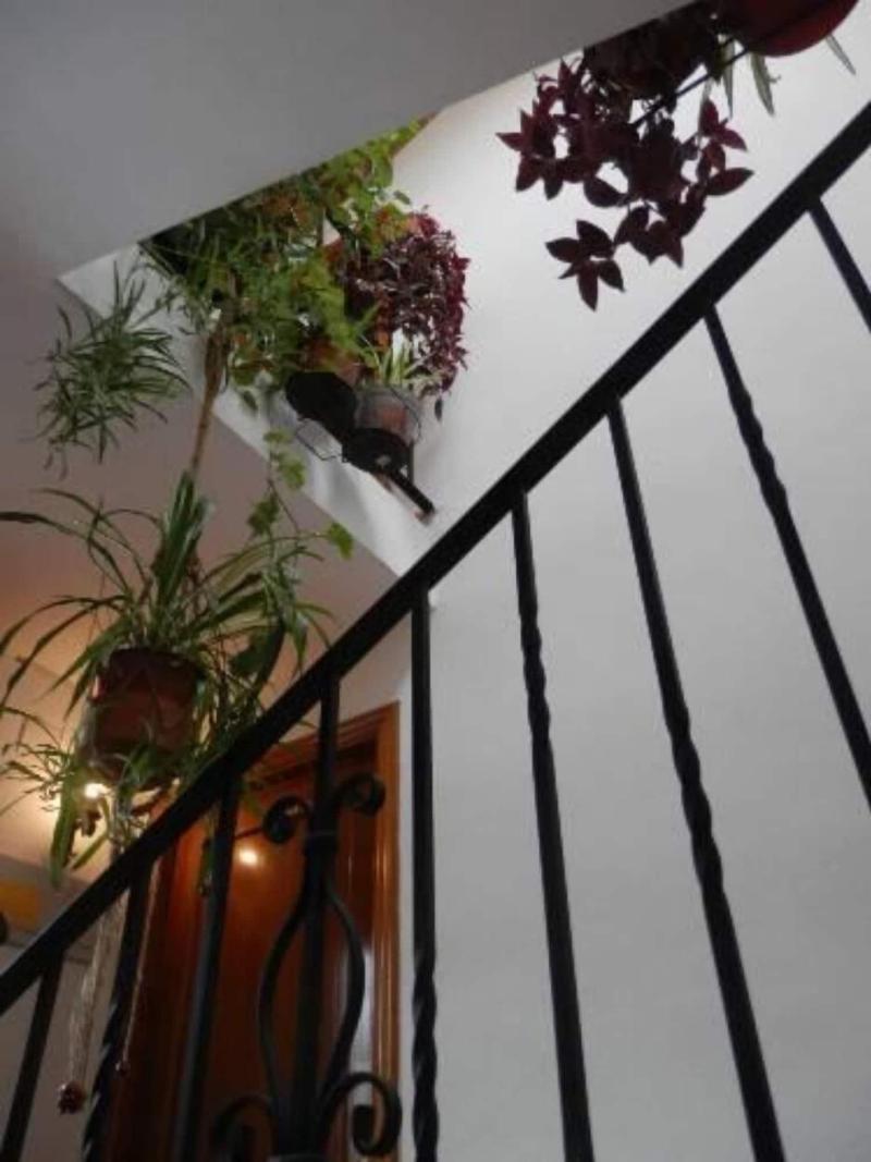 Hostal El Portalico image