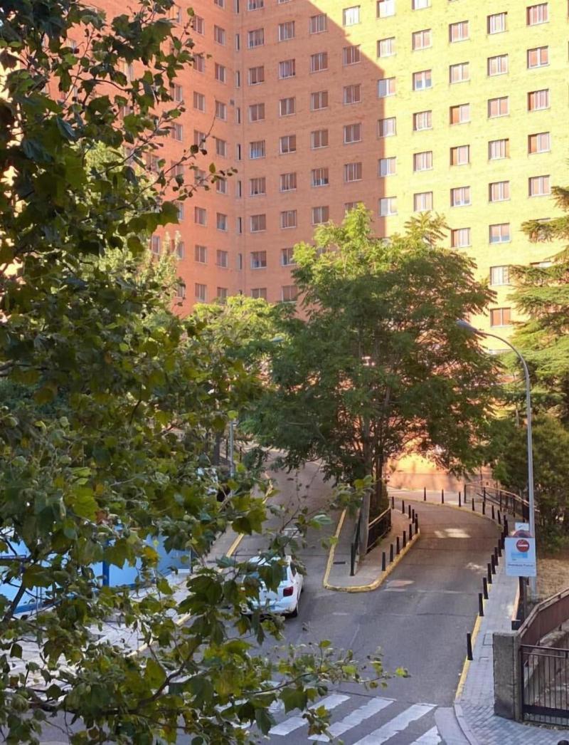 Hostal Mónaco — general view