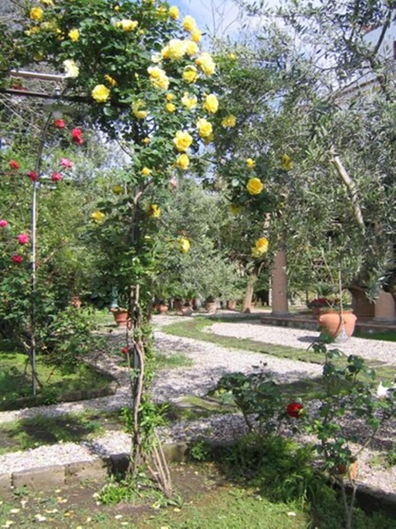 Chalet Lidia image