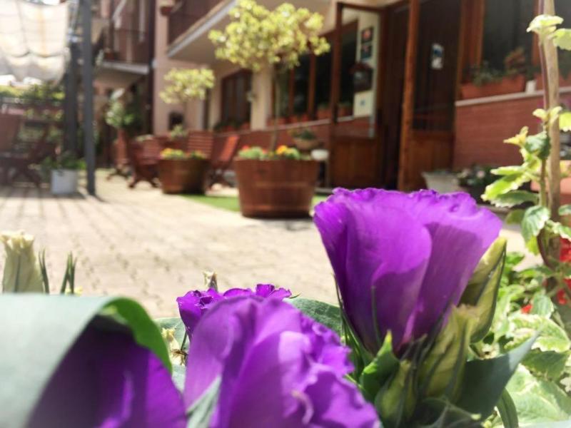 Hotel Ede image