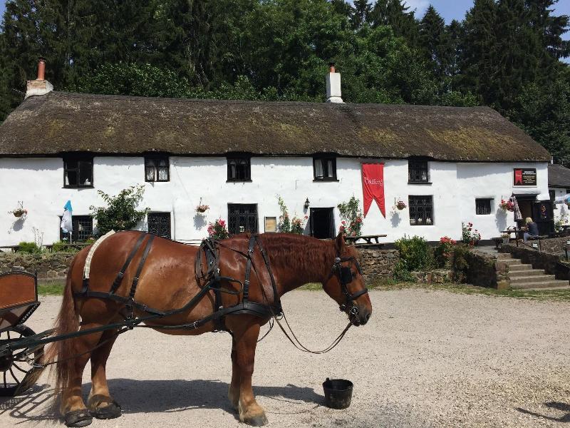 The Cridford Inn image