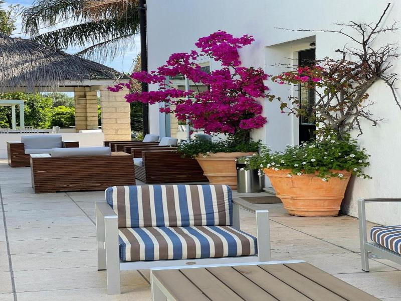 Casa Solares image