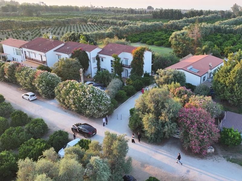 Casa Solares image