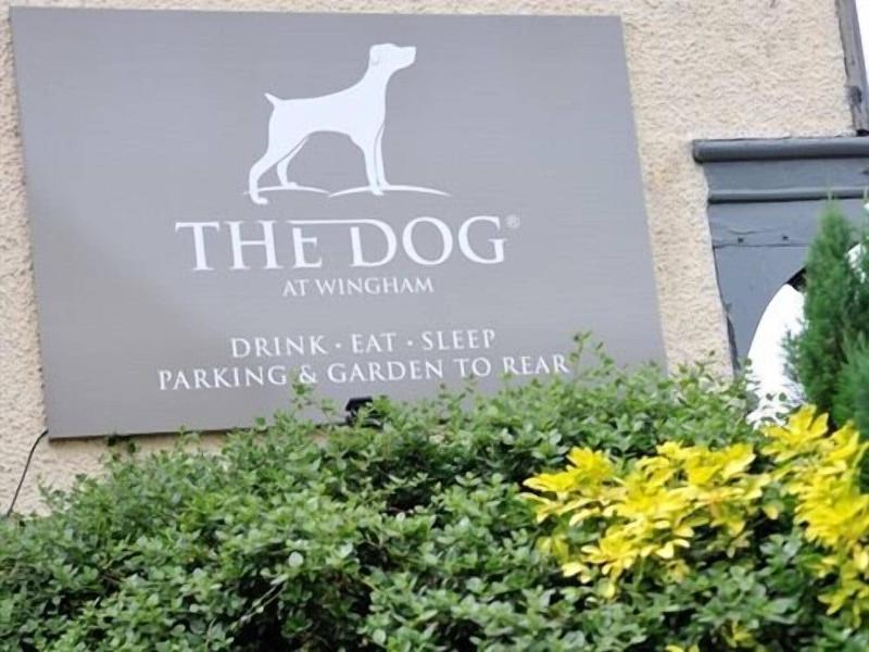 The Dog At Wingham image