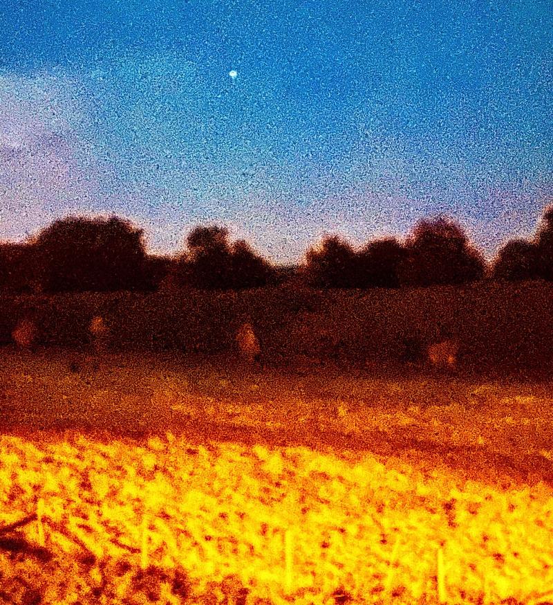 The Lodge Avebury — photo 4