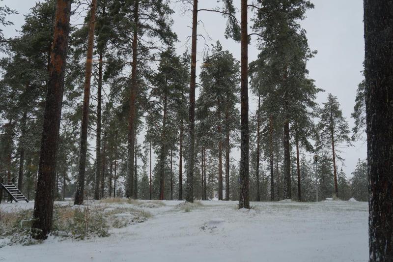 Hotel Tulikettu image