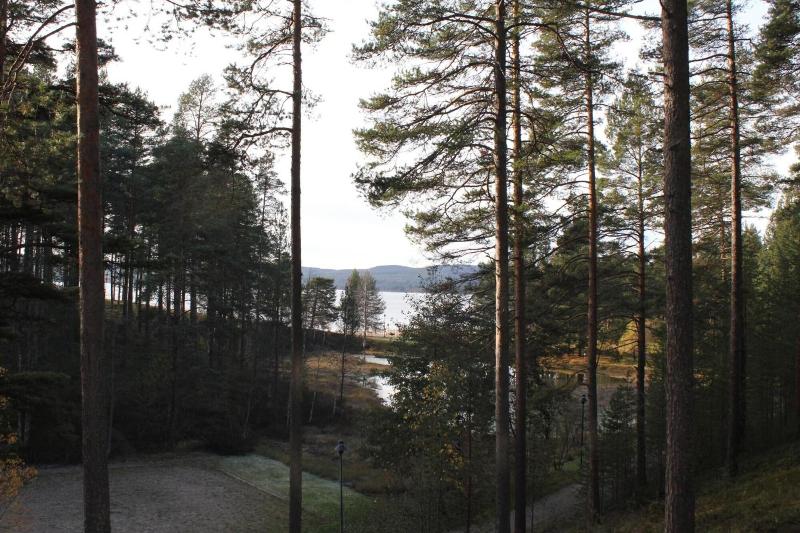Hotel Tulikettu image