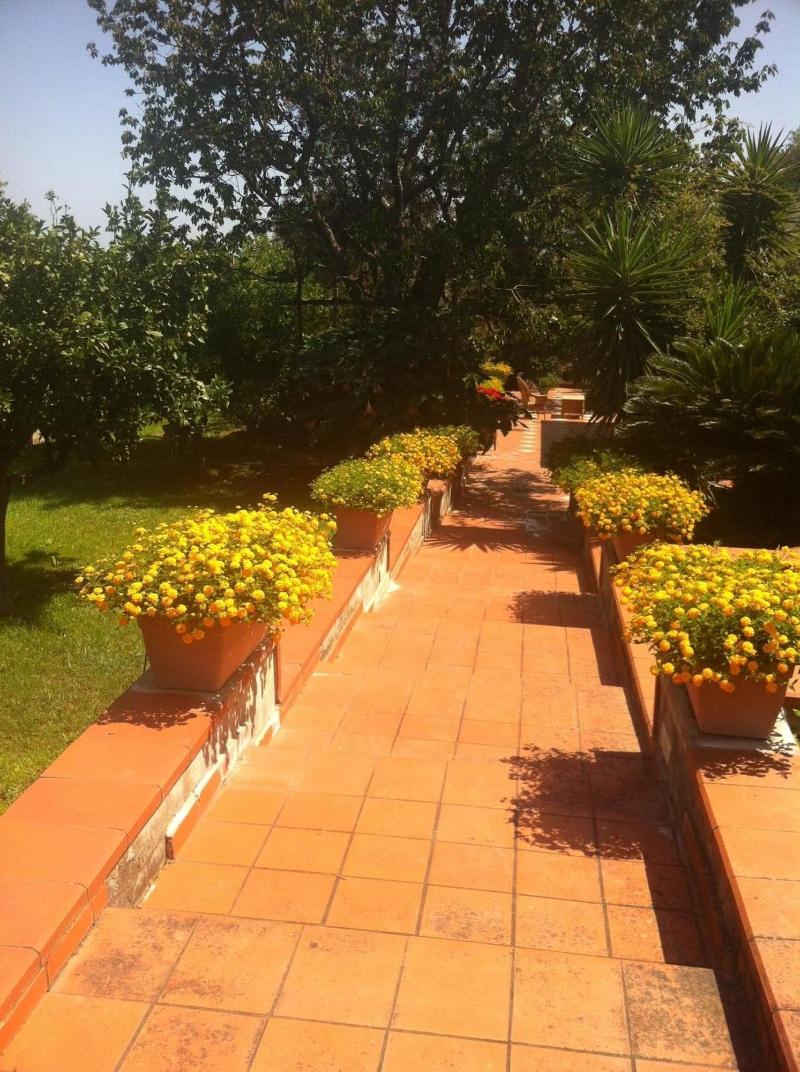 Villa Irma image