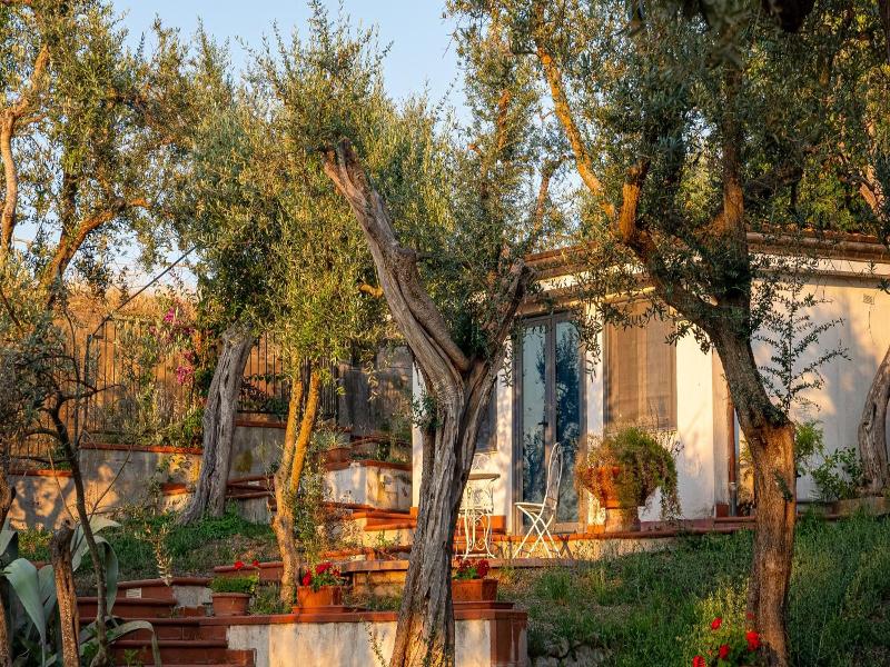 Villa Irma image