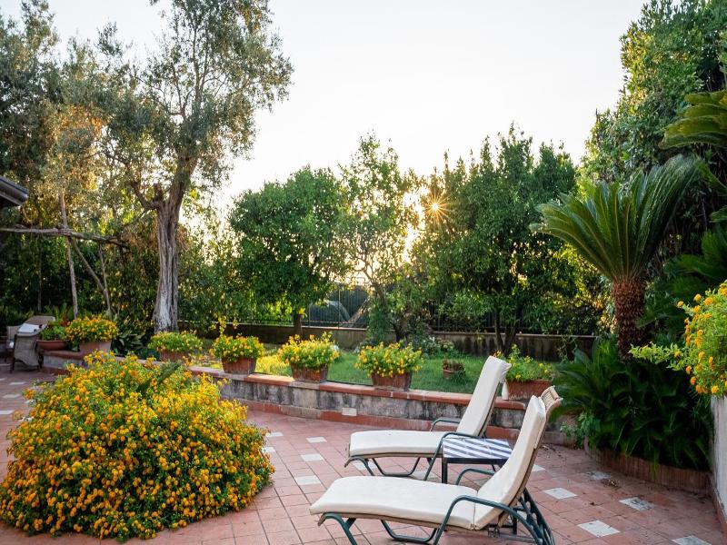 Villa Irma image