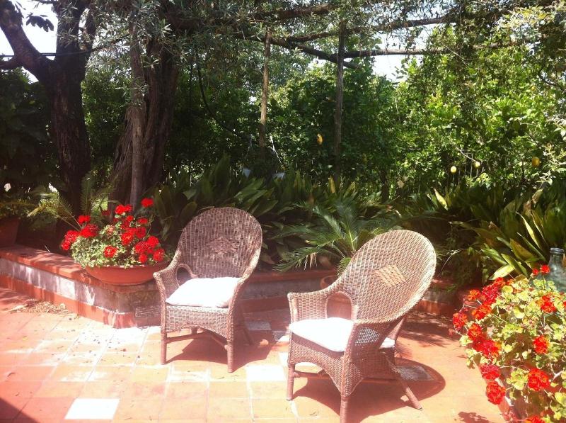 Villa Irma image