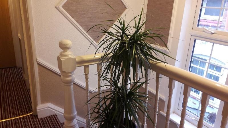 Glenfield Lodge Guest House image