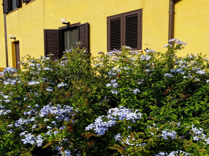 Vistazzurra B&B image