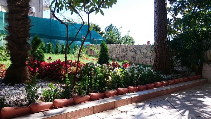 Villa Roses Apartments & Wellness image