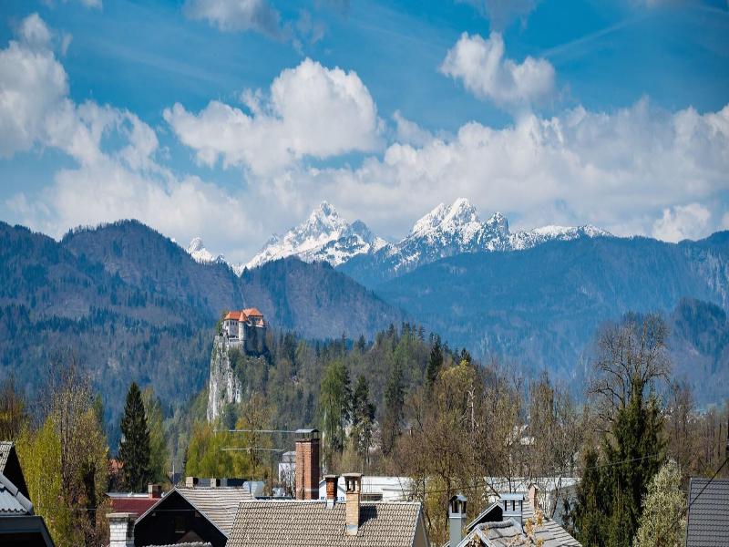 Guesthouse Kolinska- Adults only image