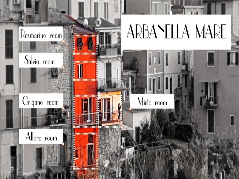Arbanella image